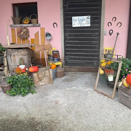 Les Loges De Marianne, D'exception Proche Europapark * Schoenau